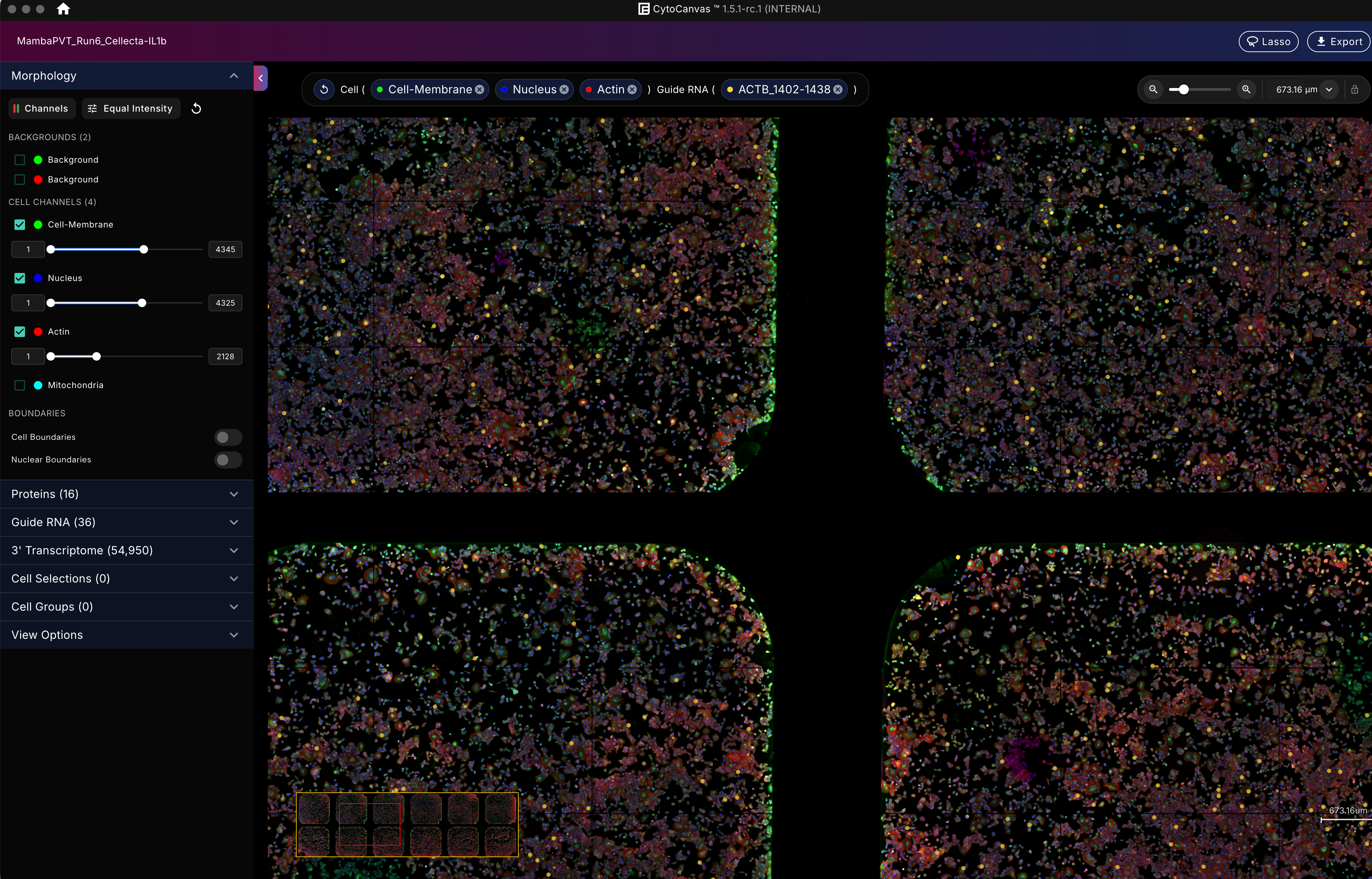 Example CytoCanvas Flow Cell view