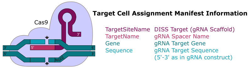 Target cell assignment manifest information