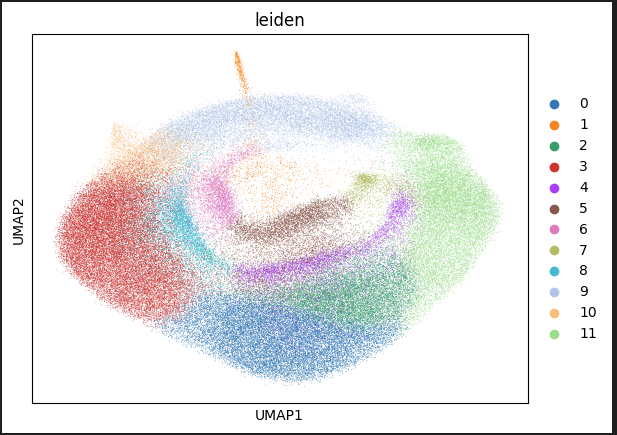 Example UMAP graph