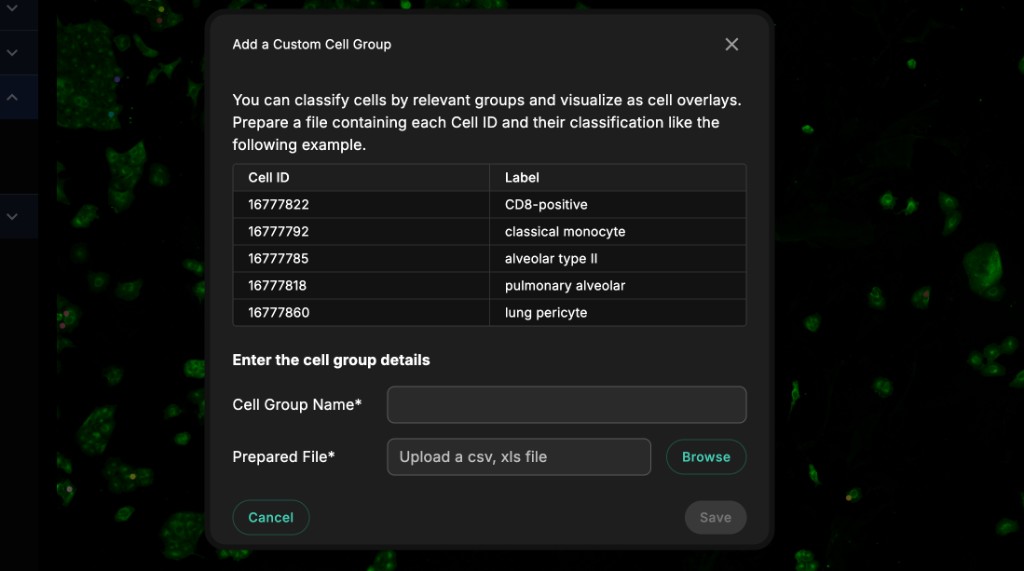 Add a Custom Cell Group dialog