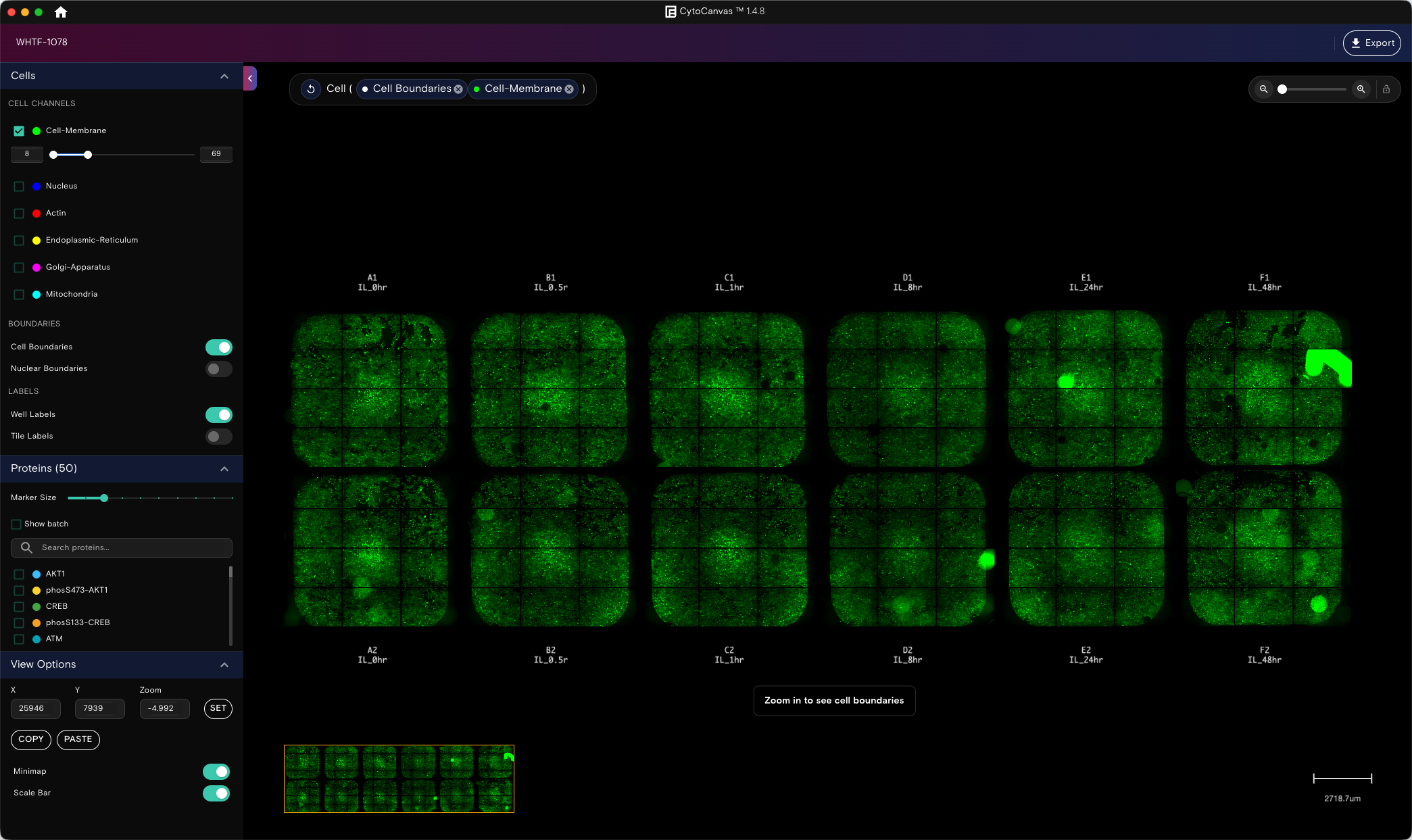 Example CytoCanvas Flow Cell view