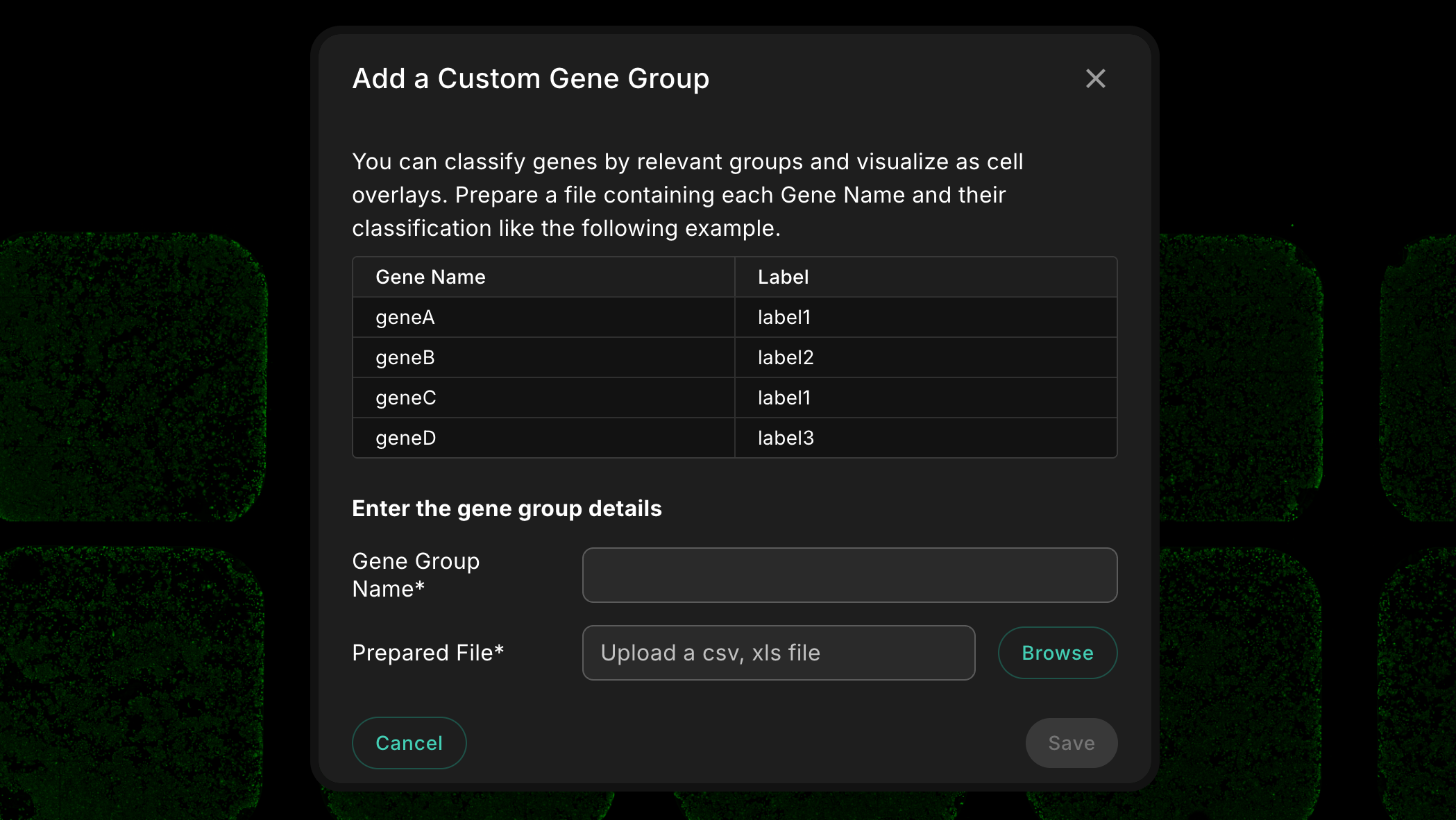 Add a Custom Gene Group dialog