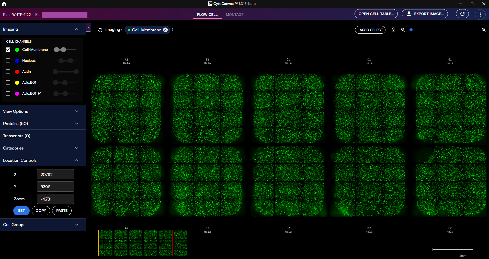Example CytoCanvas Flow Cell view