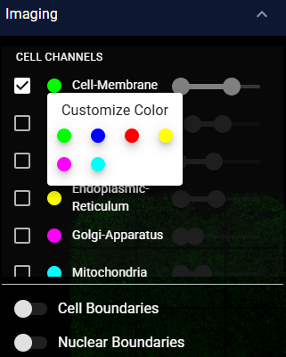 Example CytoCanvas Imaging Panel