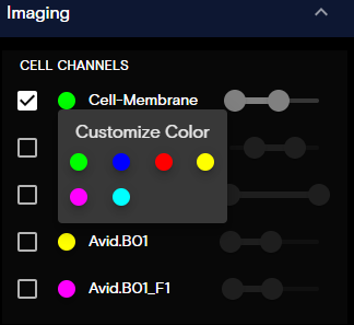 Example CytoCanvas Imaging Panel