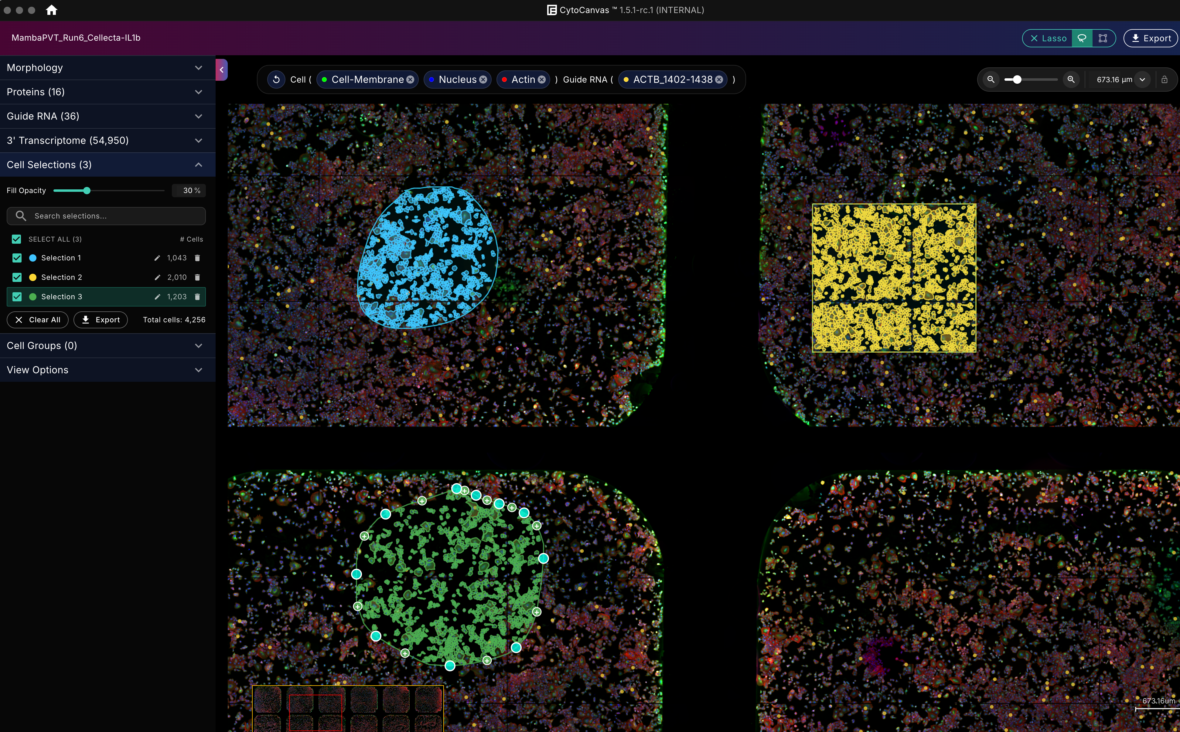 Lasso tool cell selections