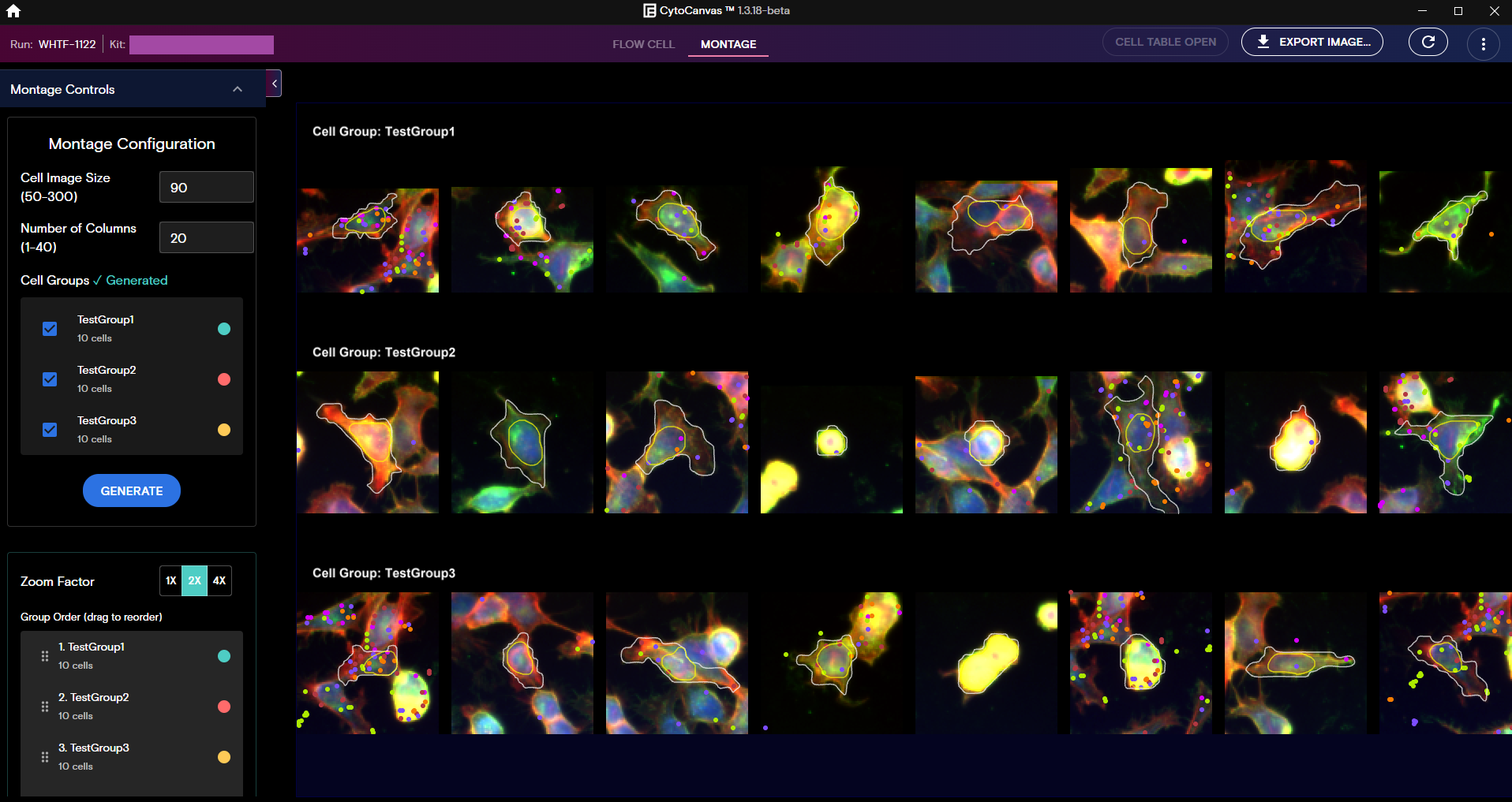 Example CytoCanvas Montage view