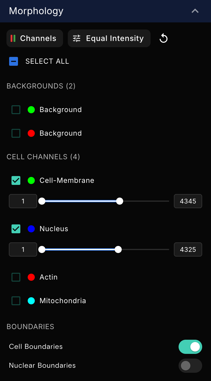 Example CytoCanvas Cells panel