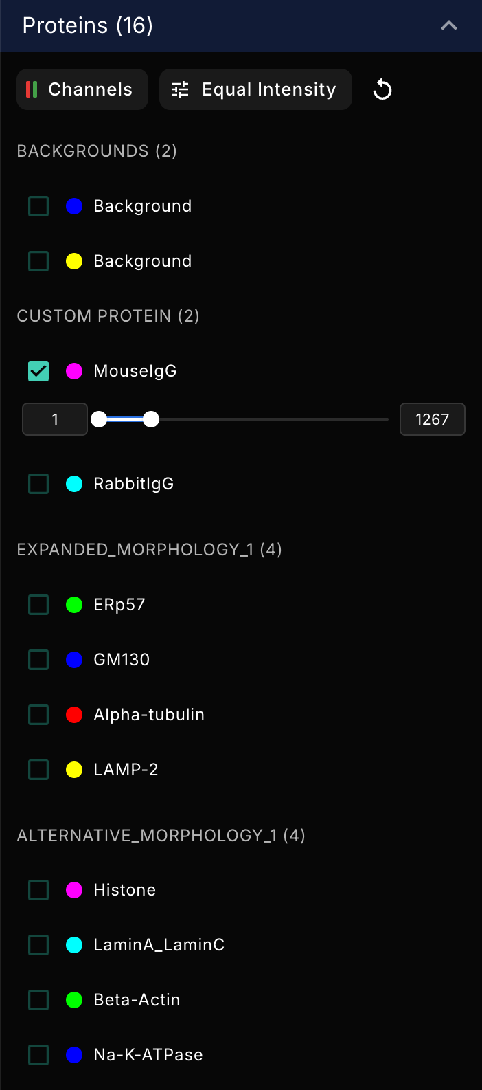 Cell morphology panel