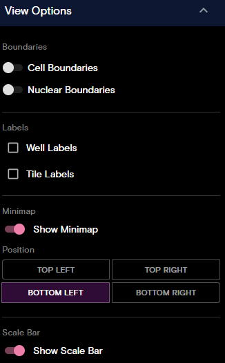 Example CytoCanvas View Options panel