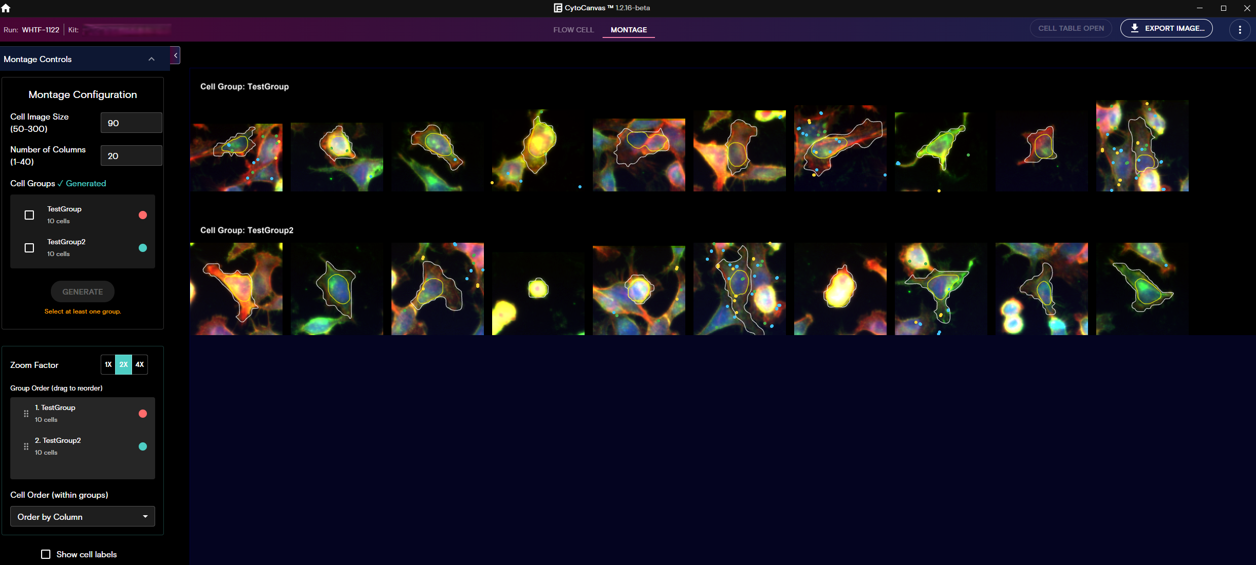 Example CytoCanvas Montage view