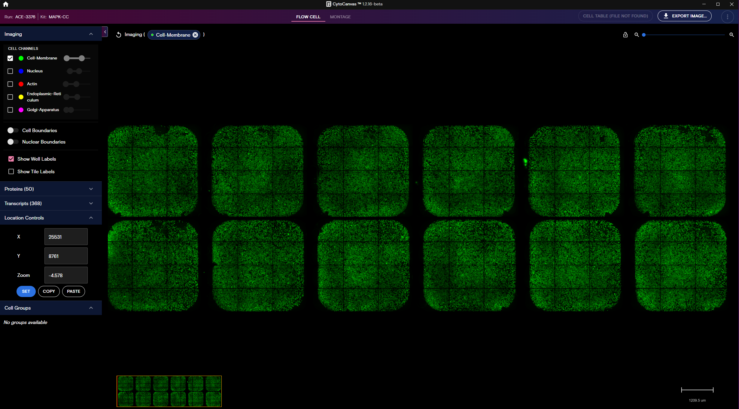 Example CytoCanvas Flow Cell view