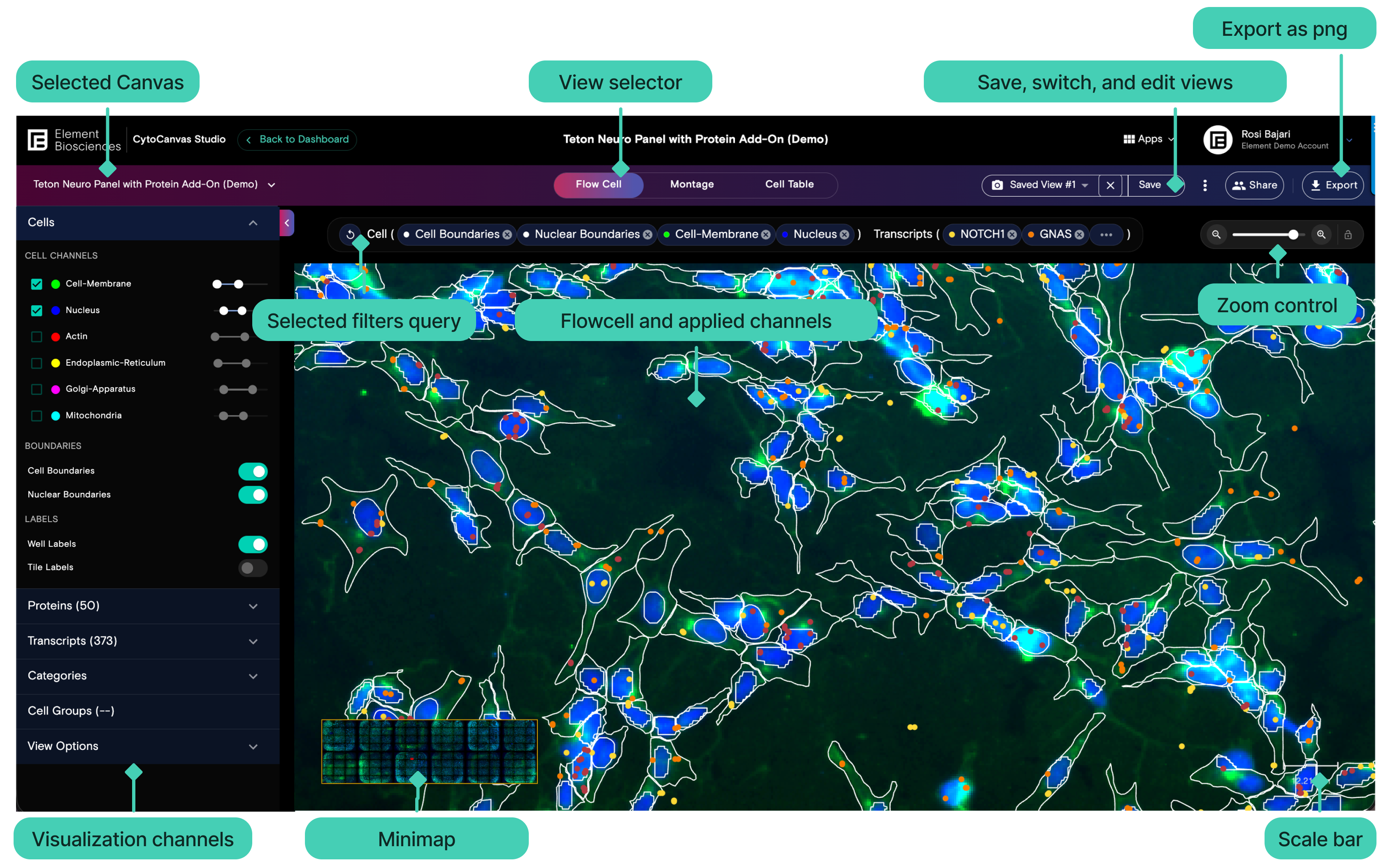 Flow Cell view