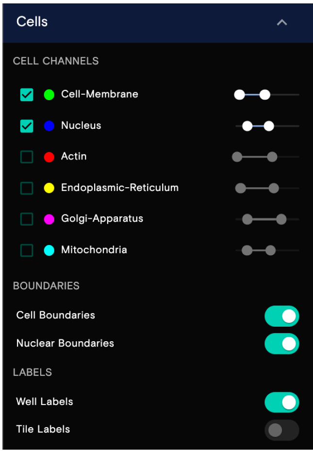 Cell morphology panel