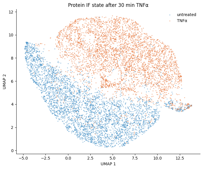 UMAP of protein IF state for 8,000 cells, colored by untreated versus TNFα-treated wells.